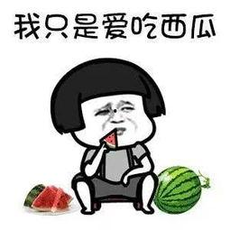 娱乐圈吃瓜动画片,揭秘明星幕后吃瓜大作战