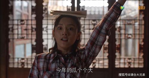 娱乐圈的吃瓜系统,揭秘吃瓜群众的狂欢盛宴